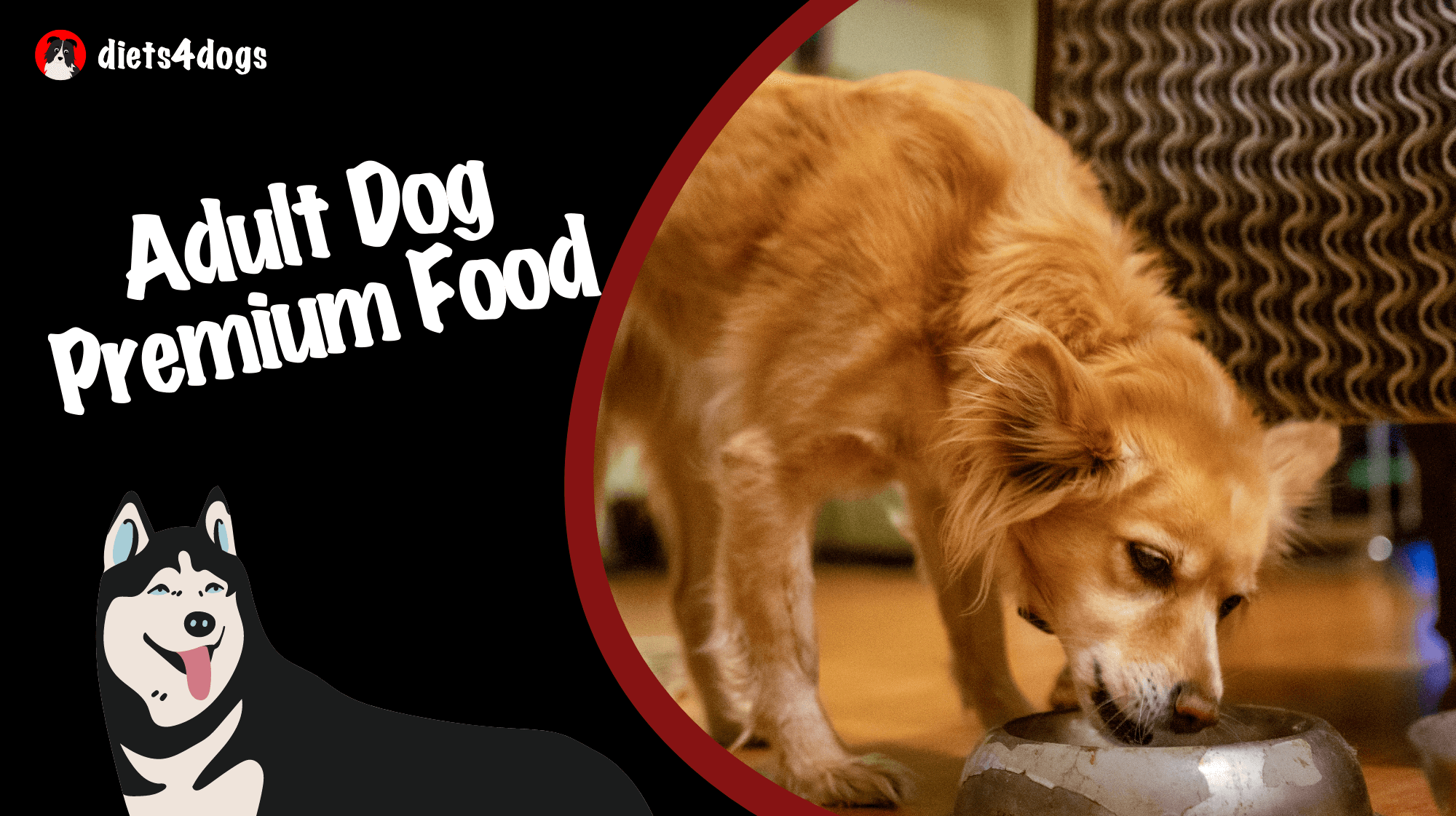 Adult Dog Premium Food