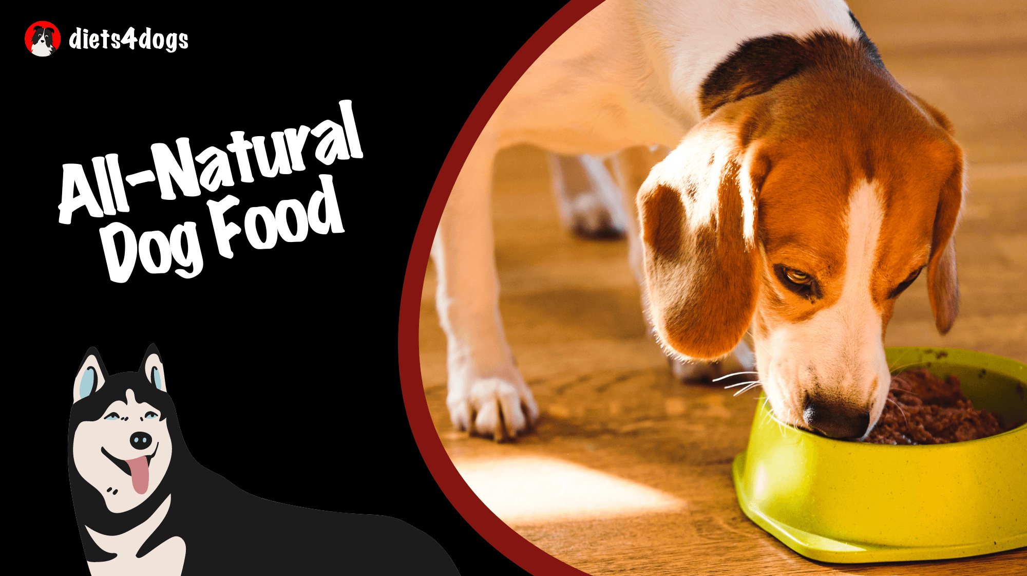 All-Natural Dog Food