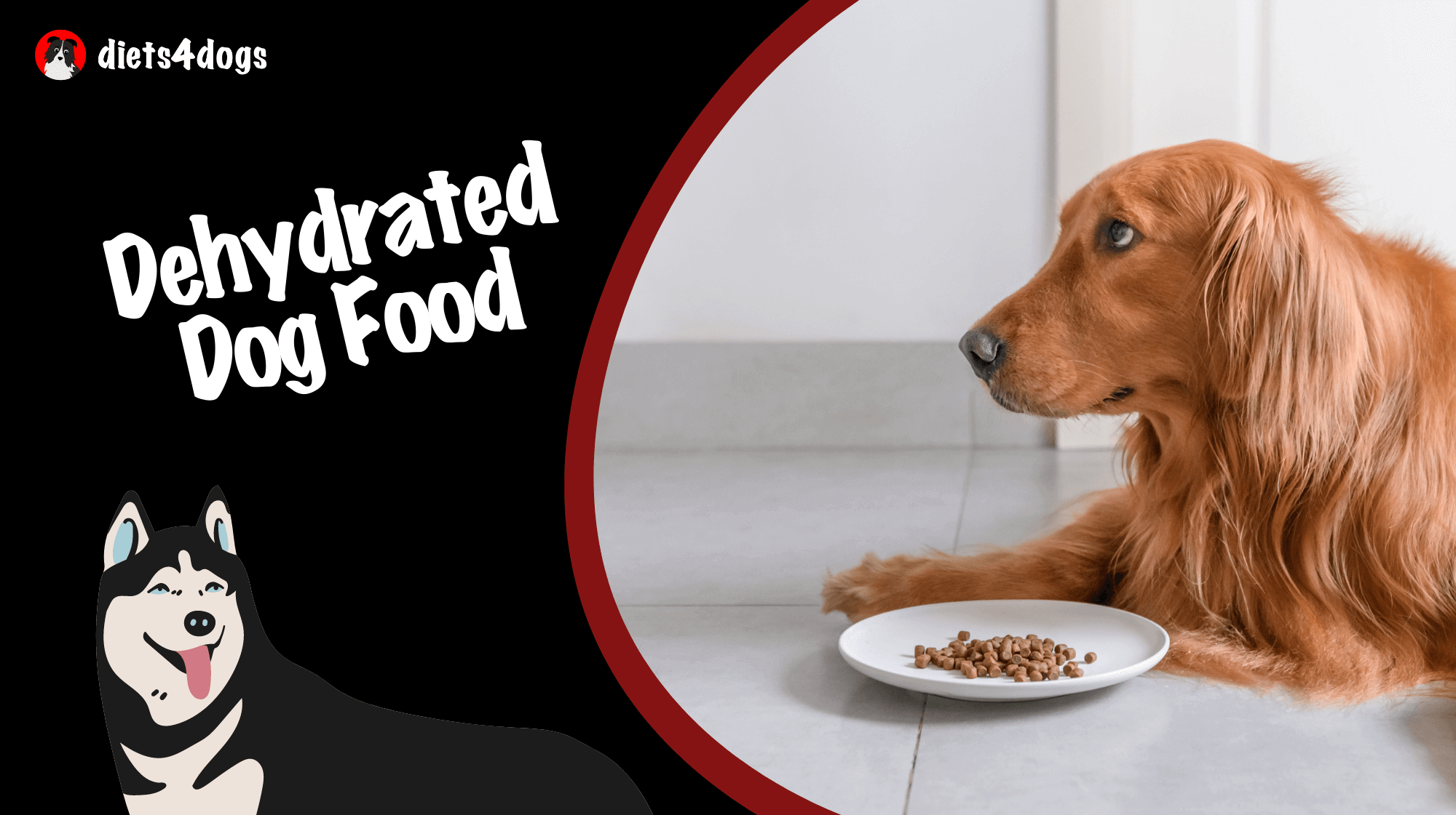 Dehydrated Dog Food