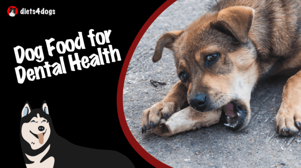 Dog Food for Dental Health: Understanding Premium Choices