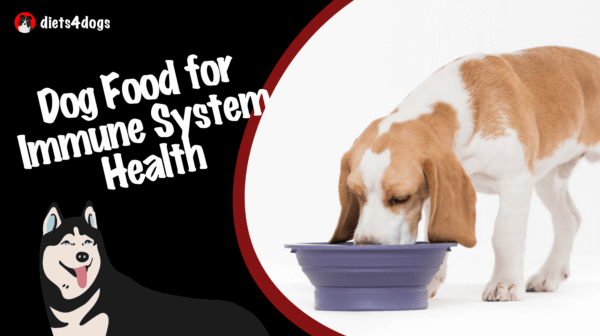 Dog Food for Immune System Health