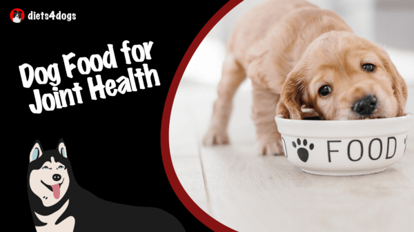 Dog Food for Joint Health