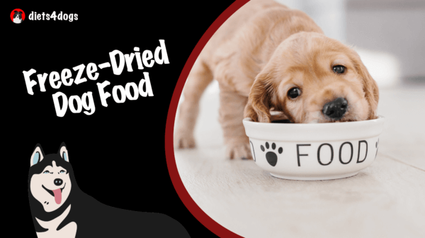 Freeze-Dried Dog Food: The Perks of Premium Options