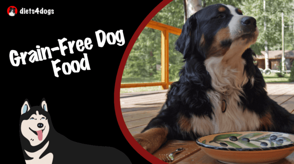 Grain-Free Dog Food: Benefits and Top Brands for Your Pet