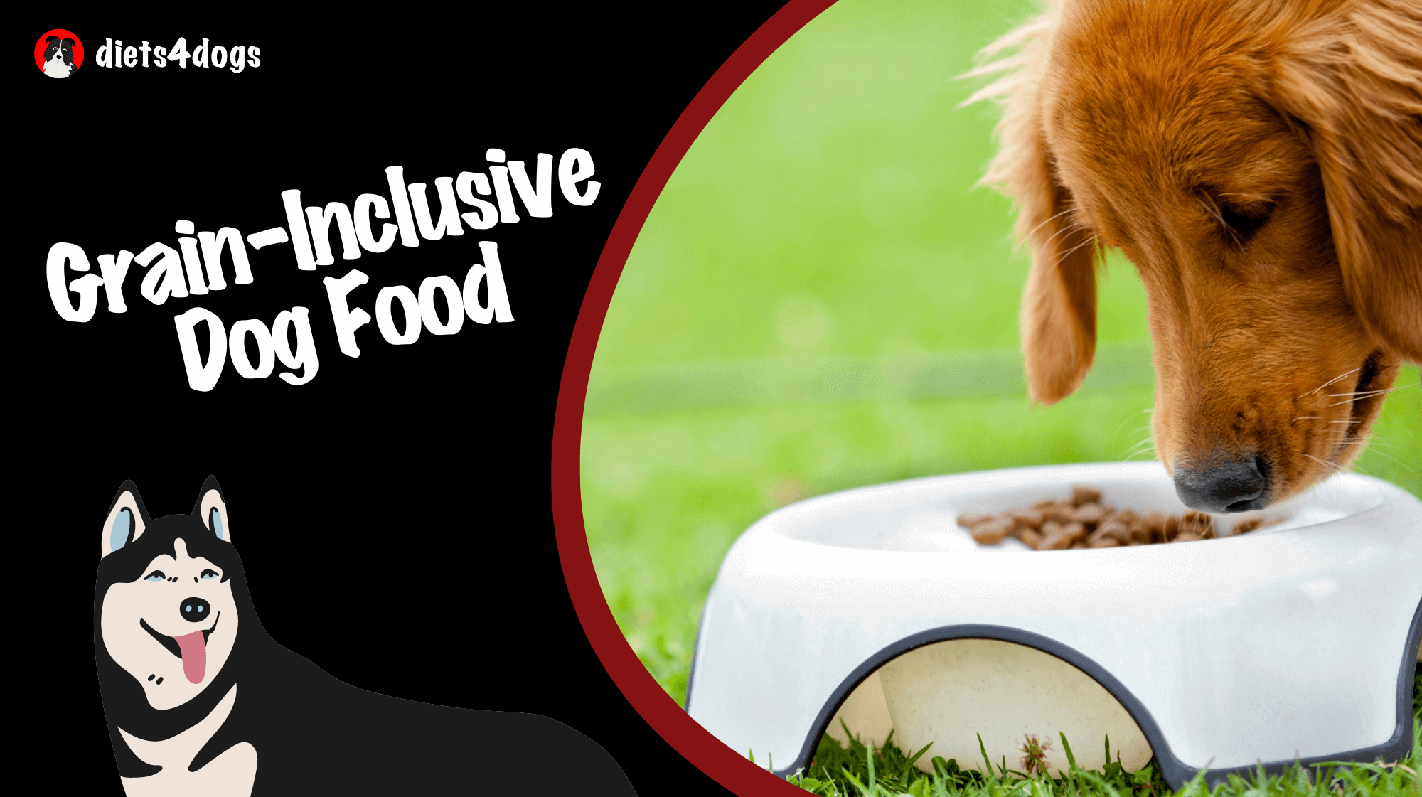 Grain-Inclusive Dog Food