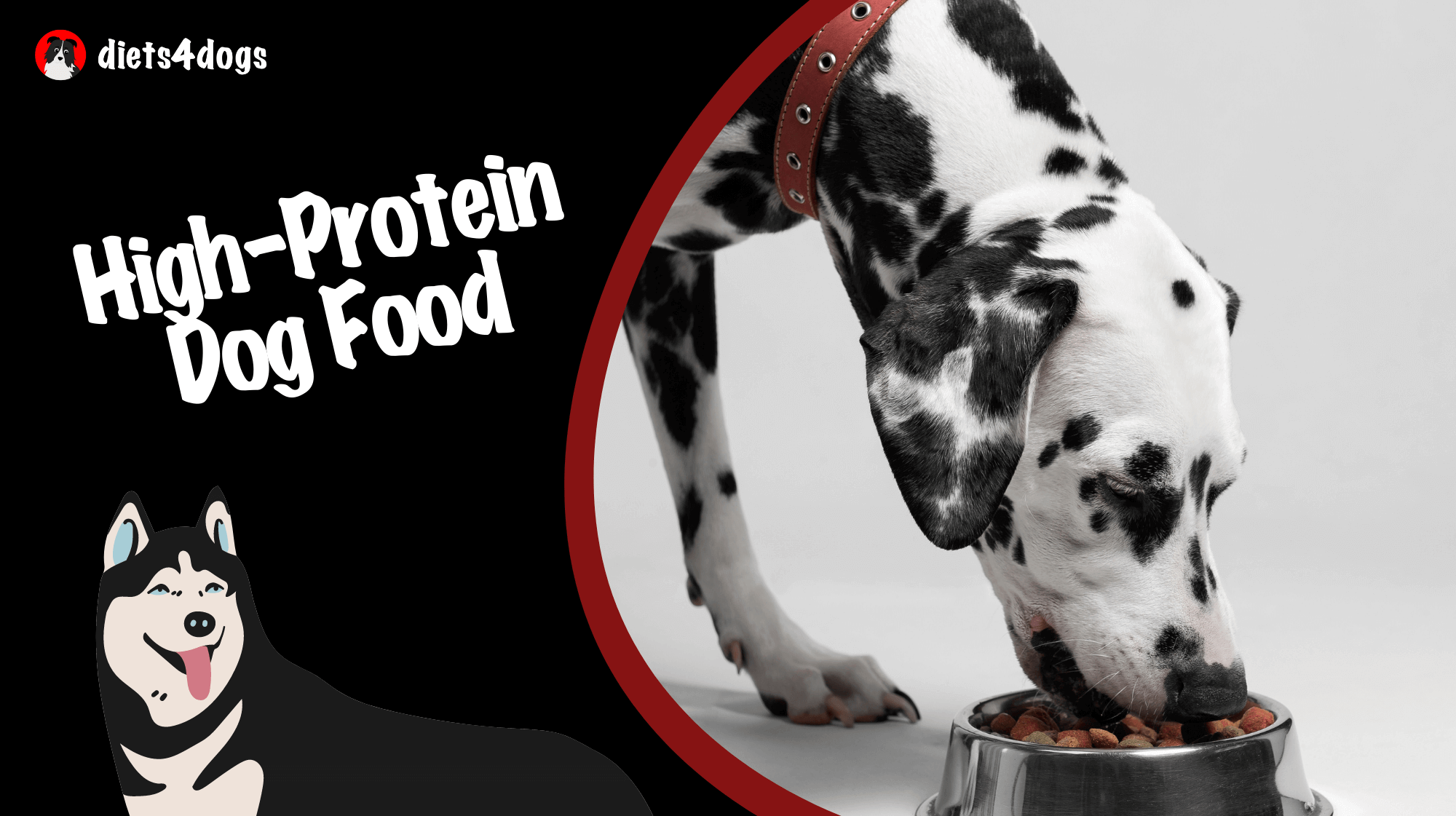 High-Protein Dog Food