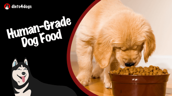 Human-Grade Dog Food: The Truth about Premium Standards