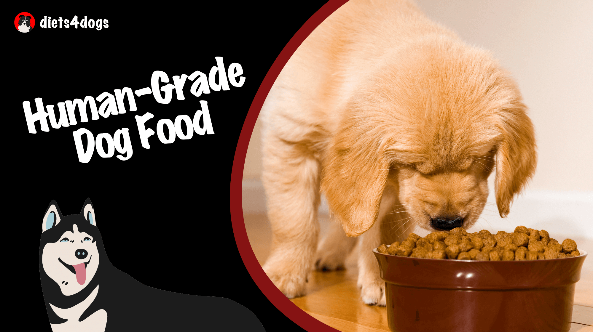 Human-Grade Dog Food