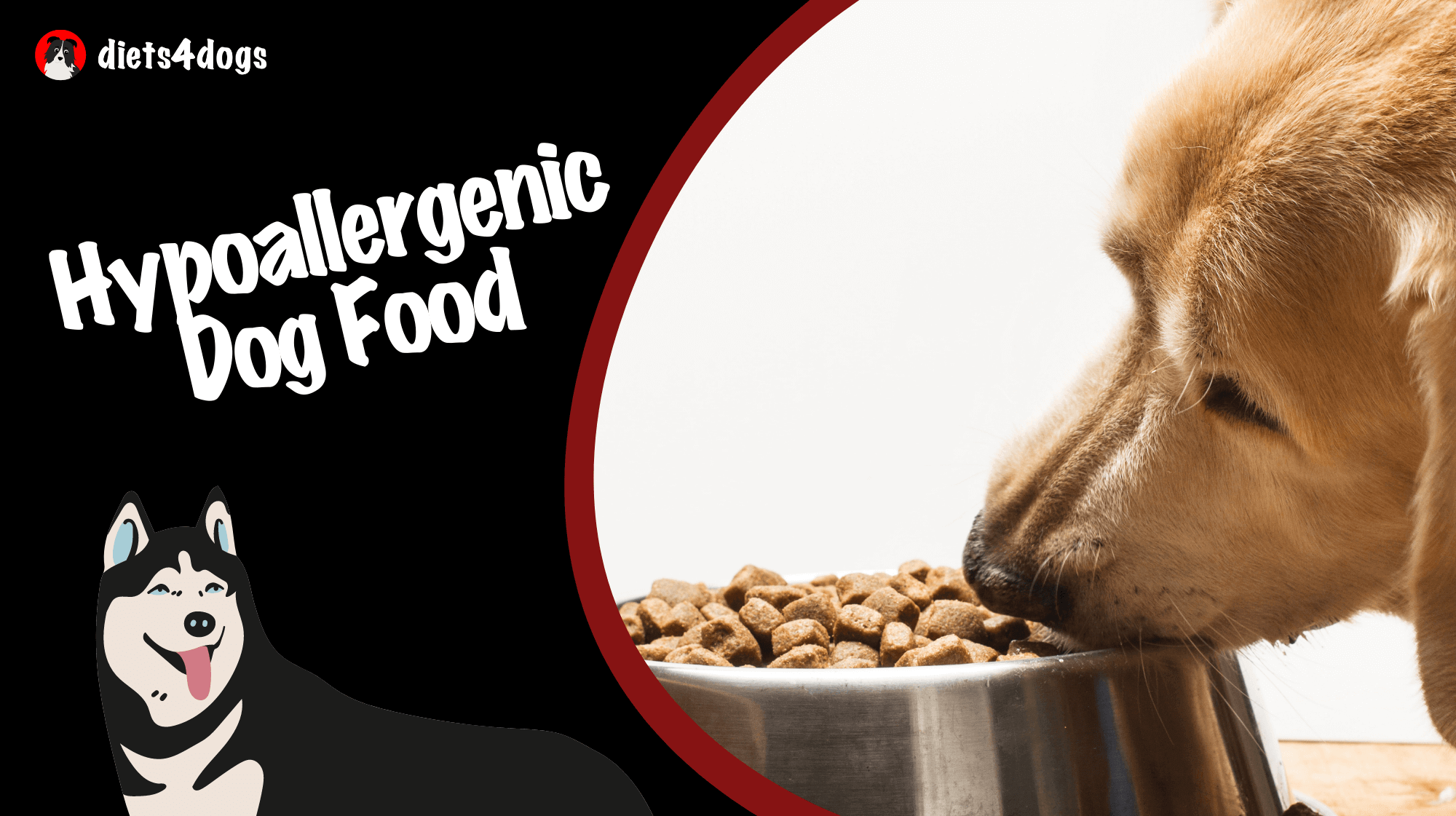 Hypoallergenic Dog Food: Premium Options for Sensitive Pets - Diets4dogs