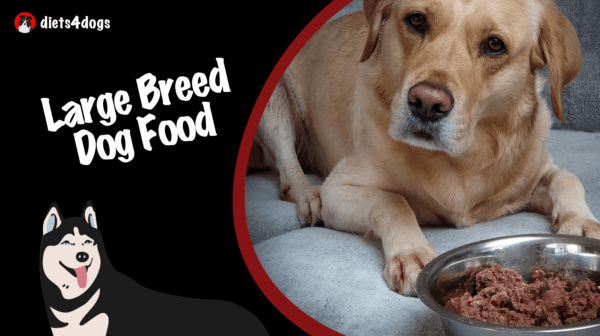 Large Breed Dog Food: Premium Brands and Their Benefits