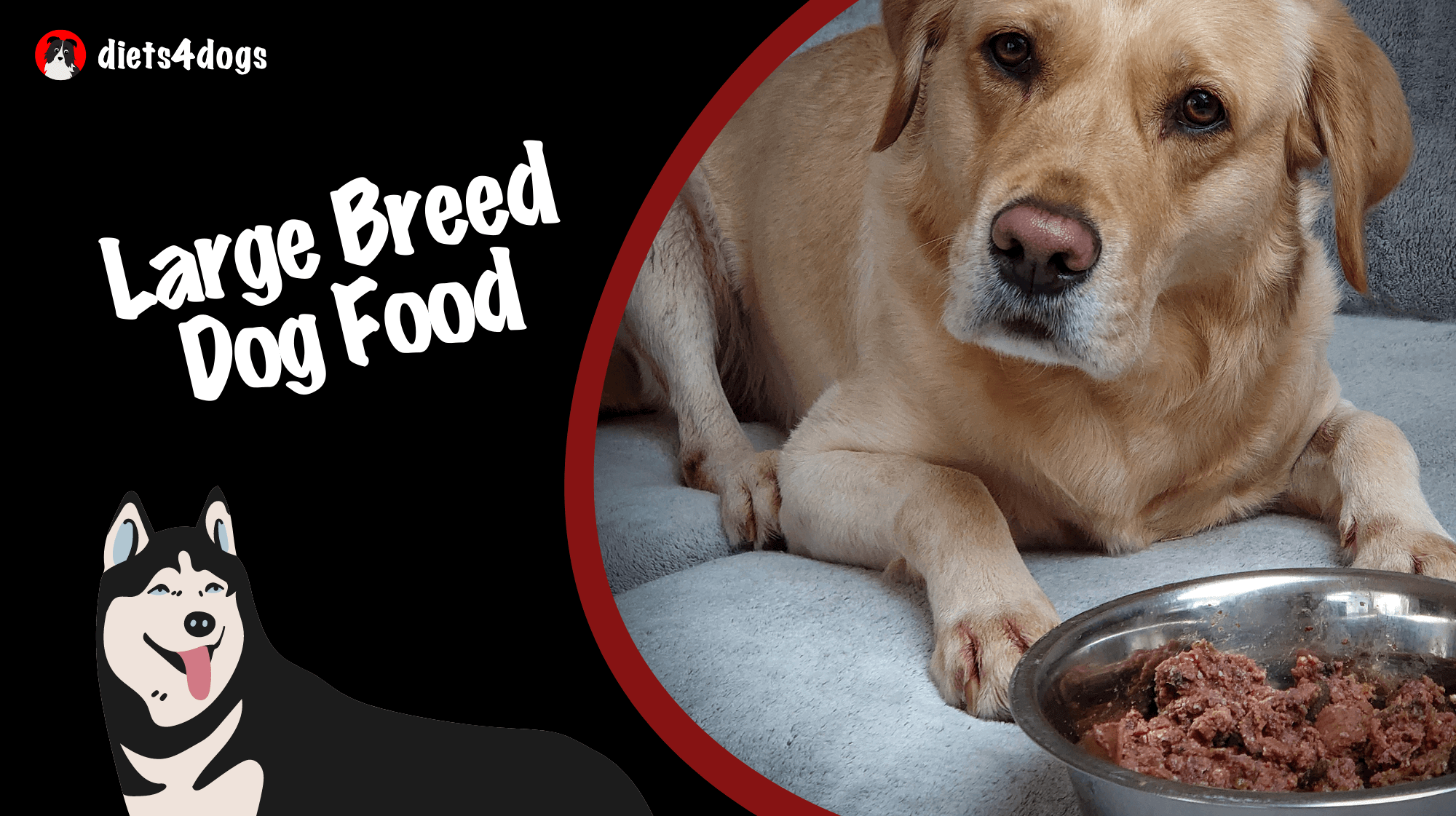Large Breed Dog Food