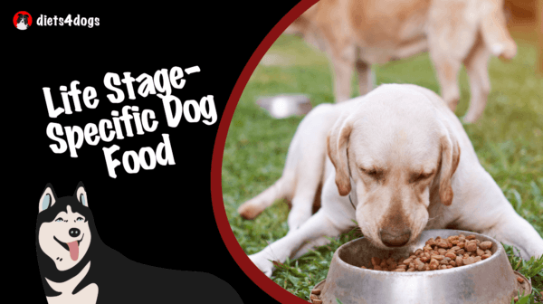 Life Stage-Specific Dog Food: Navigating Premium Options