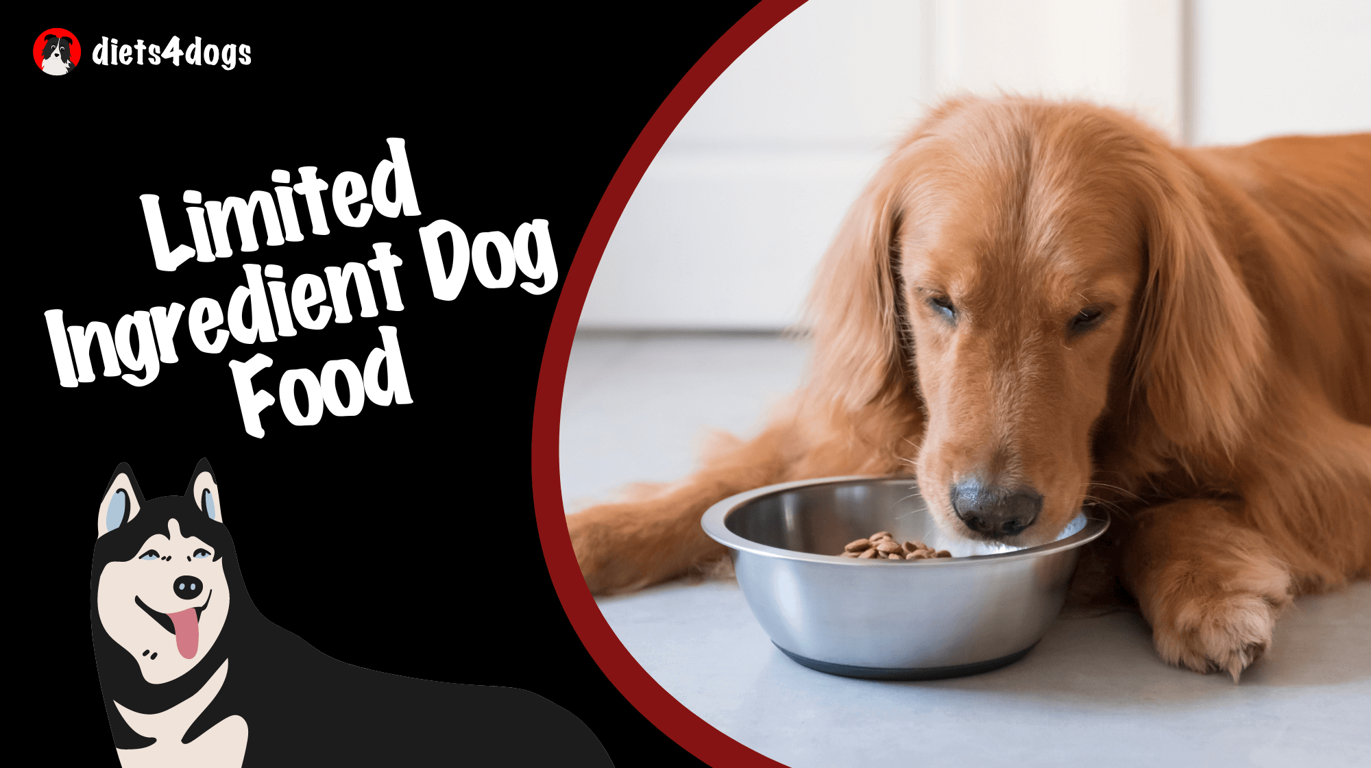 Limited Ingredient Dog Food
