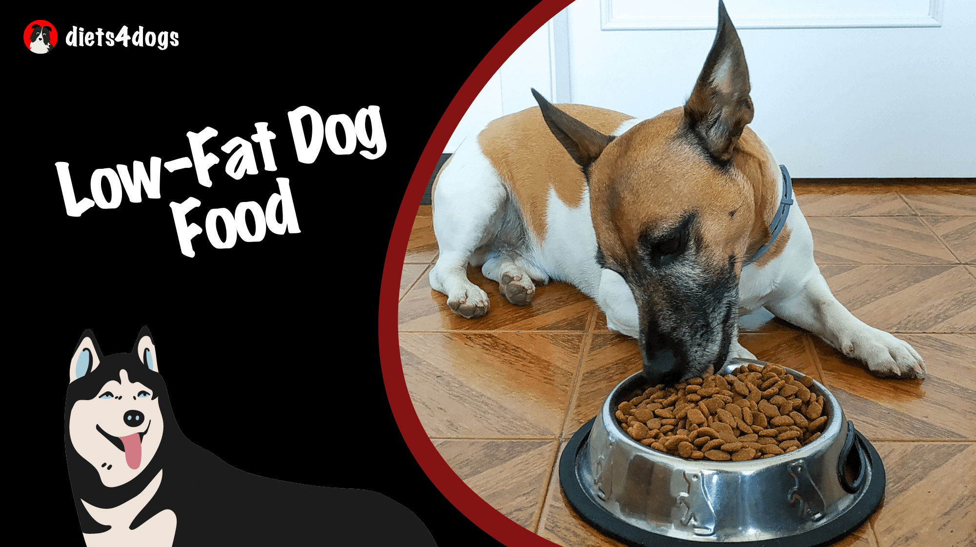 Low-Fat Dog Food