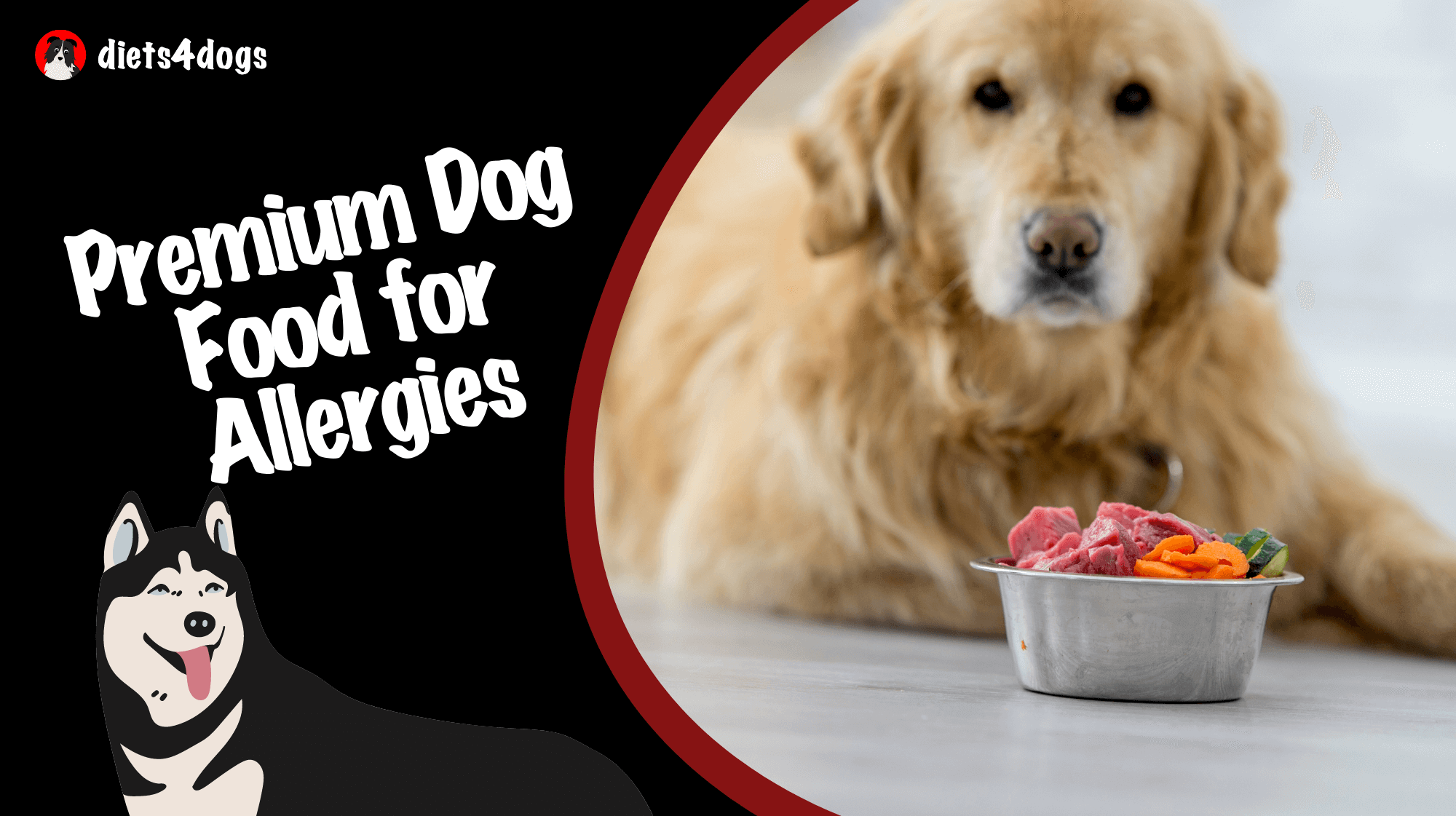 Premium Dog Food for Allergies