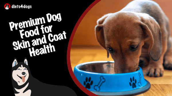 Premium Dog Food for Skin and Coat Health: Top Picks