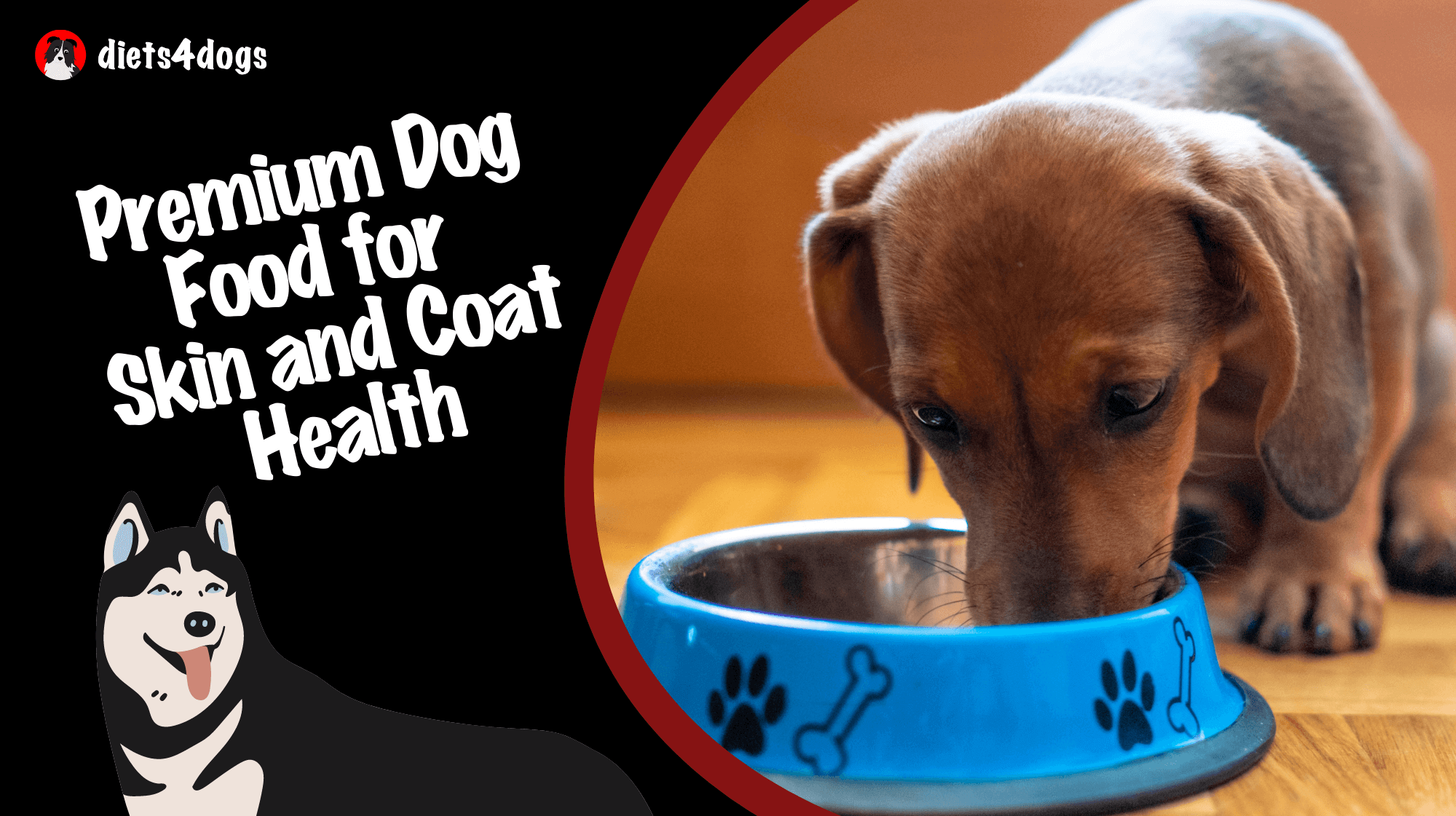 Premium Dog Food for Skin and Coat Health