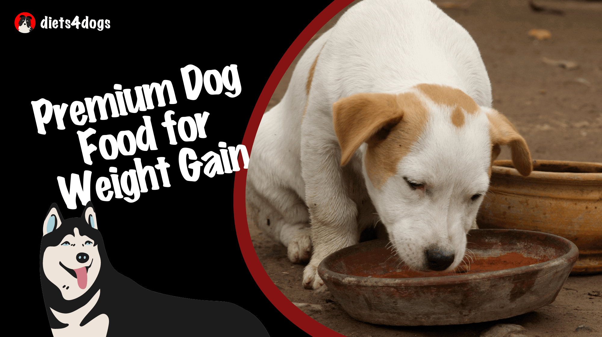 Premium Dog Food for Weight Gain