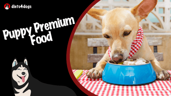 Puppy Premium Food: Setting Up Your Young Dog for Success