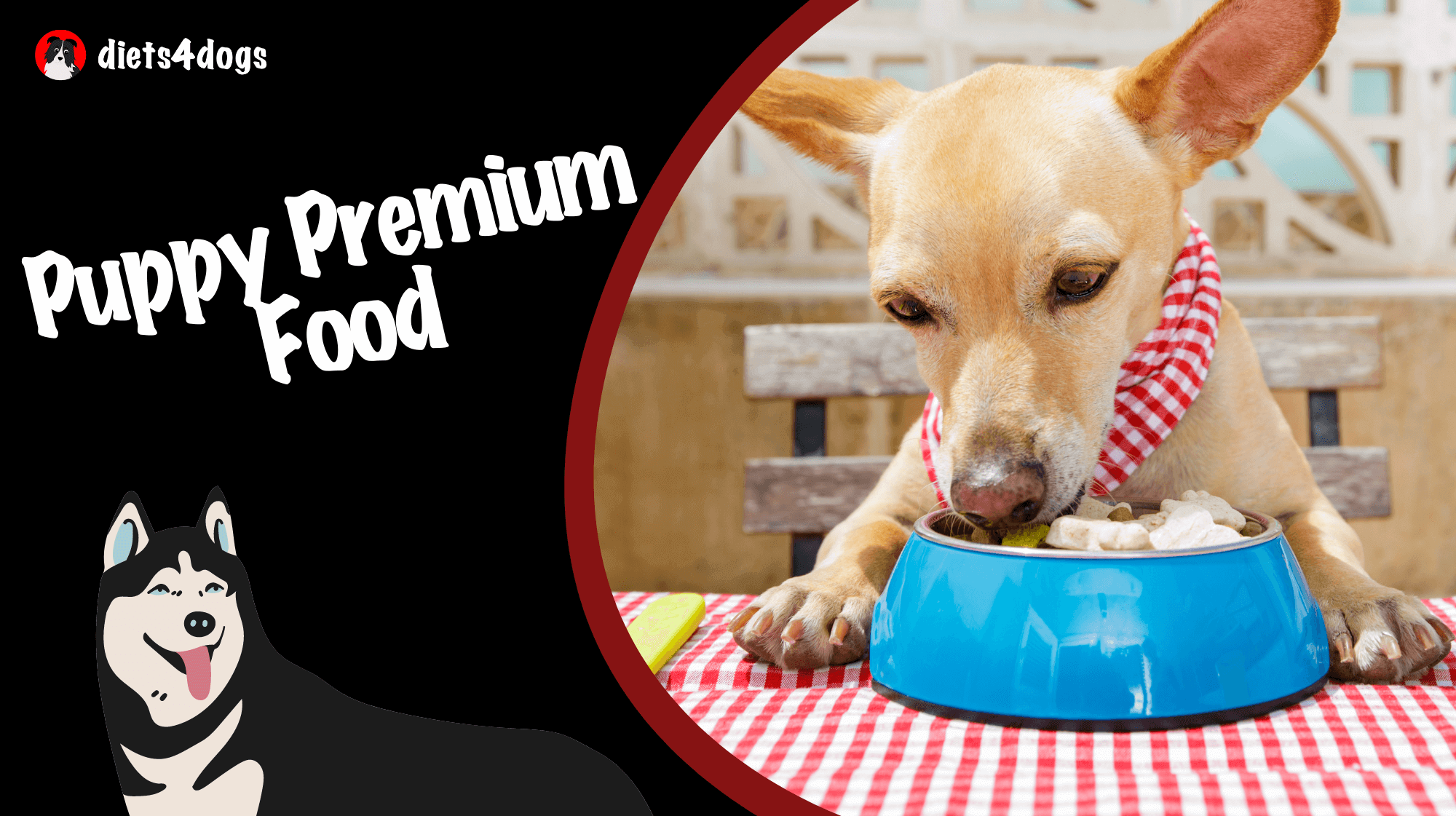Puppy Premium Food