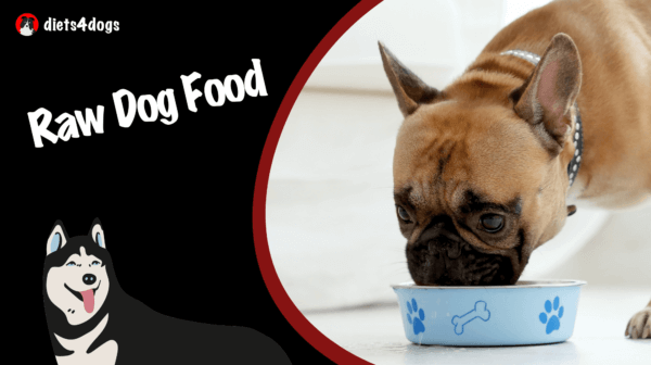 Raw Dog Food: Understanding the Pros and Cons