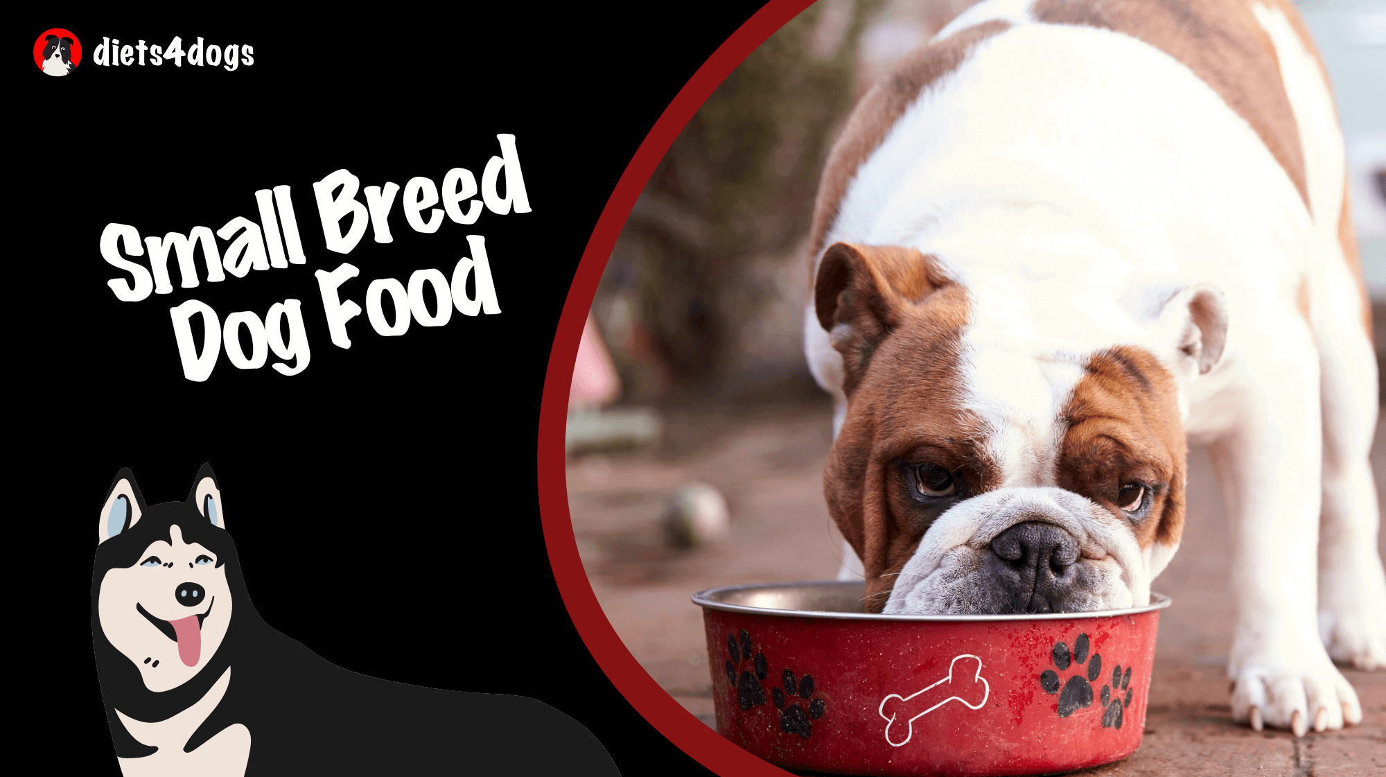 Small Breed Dog Food