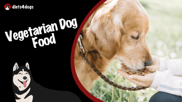 Vegetarian Dog Food: Understanding Premium Plant-Based Options