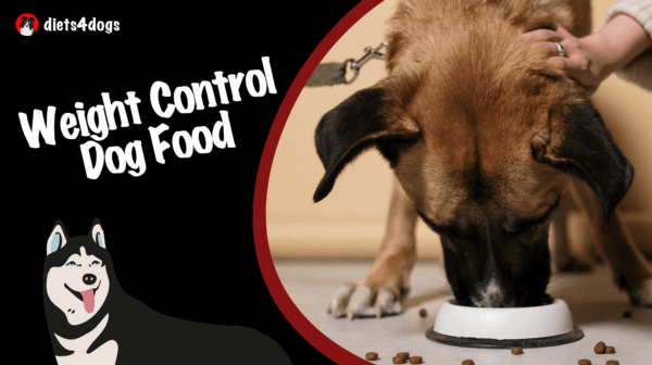 Weight Control Dog Food: Premium Options for a Healthy Weight