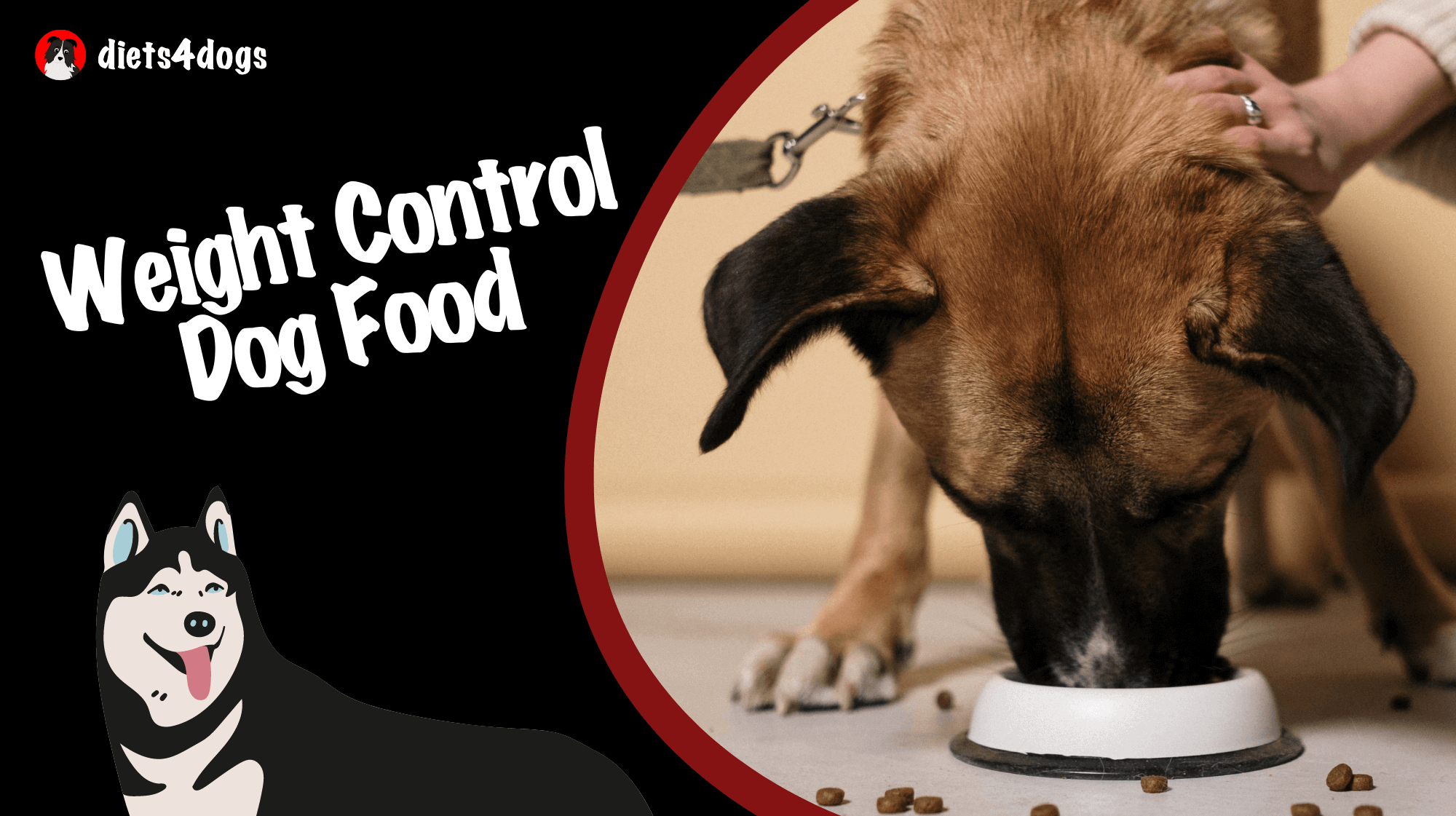 Weight Control Dog Food