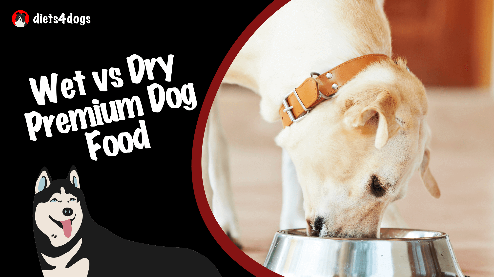 Wet vs Dry Premium Dog Food