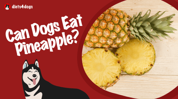 Can Dogs Eat Pineapple?