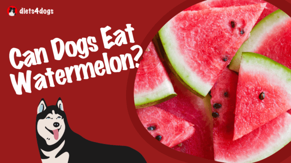 Can Dogs Eat Watermelon?