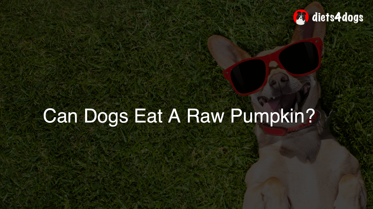 Can Dogs Eat A Raw Pumpkin?