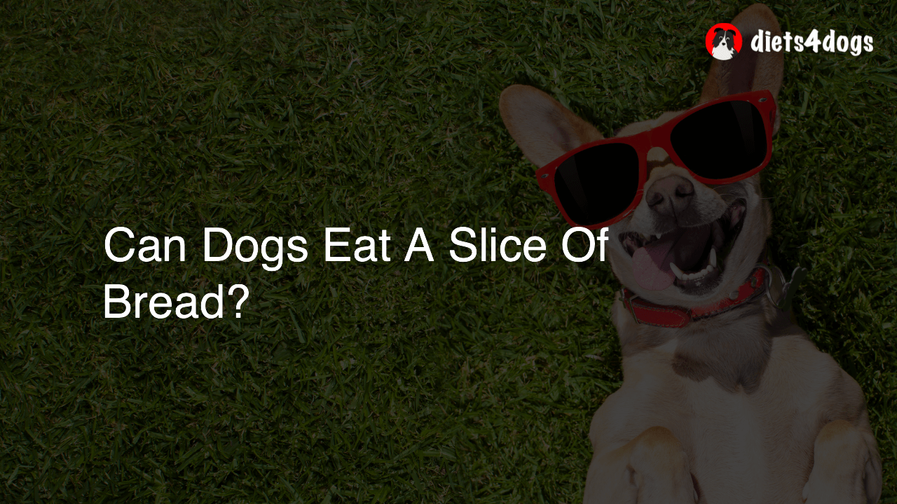 Can Dogs Eat A Slice Of Bread?