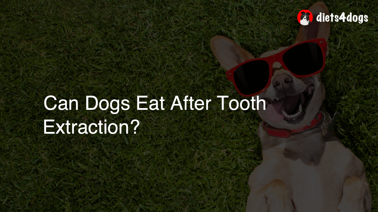 Can Dogs Eat After Tooth Extraction?