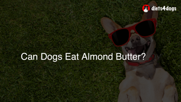 Can Dogs Eat Almond Butter?