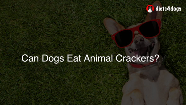 Can Dogs Eat Animal Crackers?