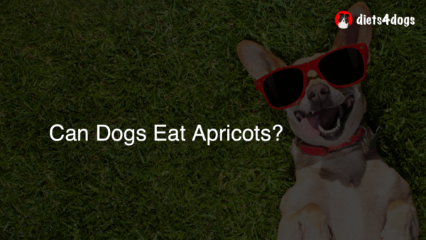 Can Dogs Eat Apricots?