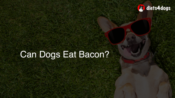 Can Dogs Eat Bacon?