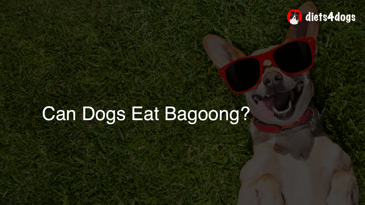 Can Dogs Eat Bagoong?