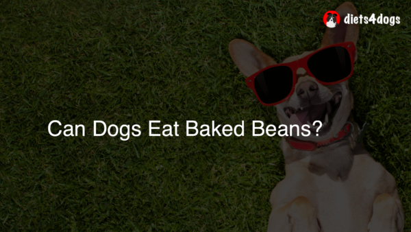 Can Dogs Eat Baked Beans?