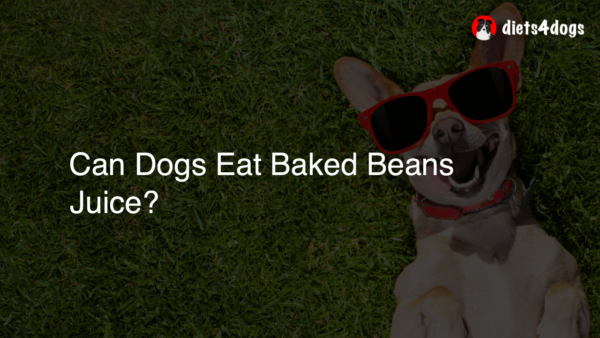 Can Dogs Eat Baked Beans Juice?