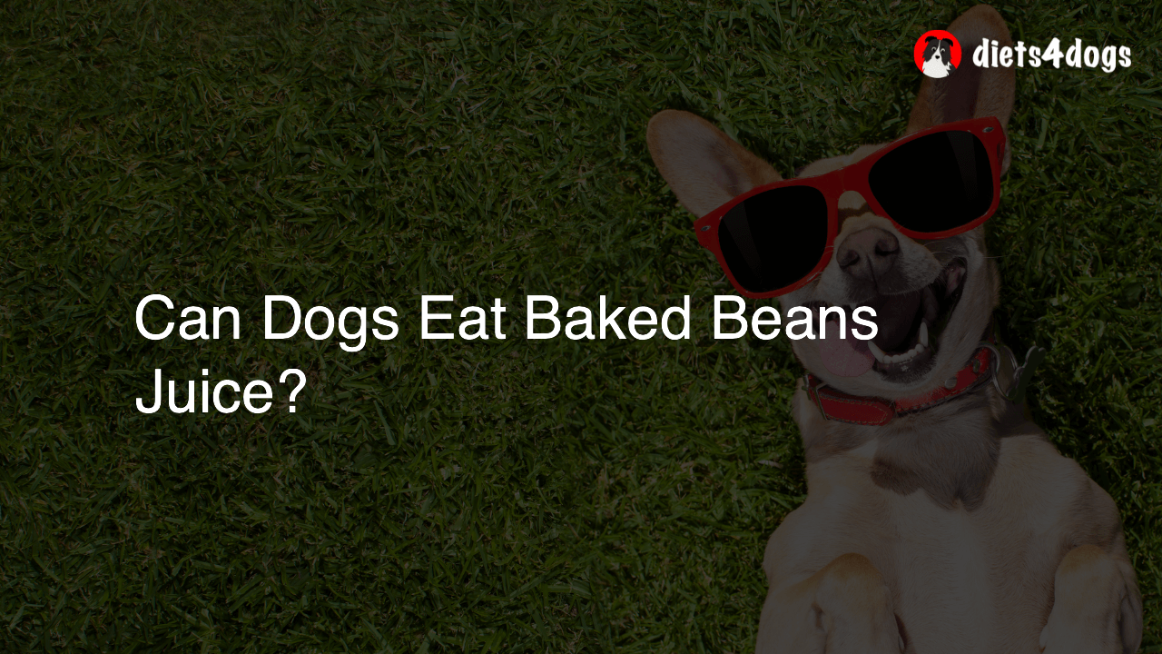 Can Dogs Eat Baked Beans Juice?
