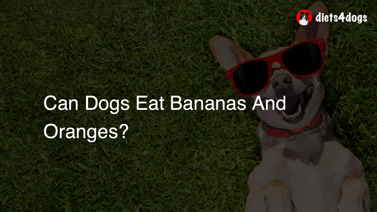 Can Dogs Eat Bananas And Oranges?