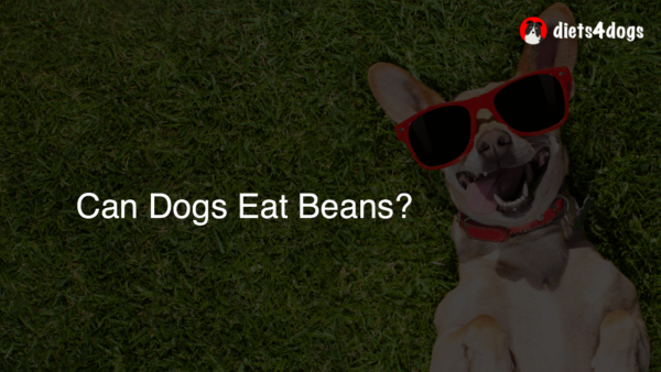 Can Dogs Eat Beans?