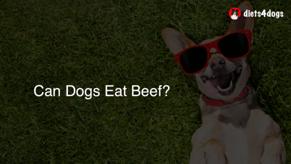 Can Dogs Eat Beef?