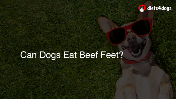 Can Dogs Eat Beef Feet?