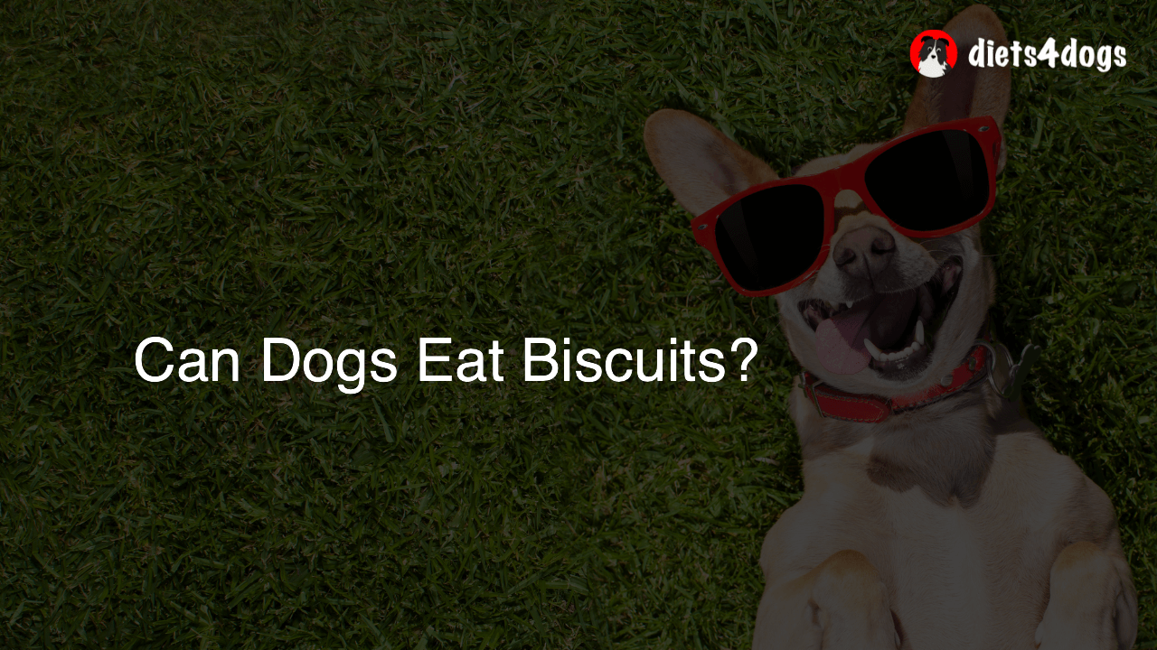 Can Dogs Eat Biscuits?
