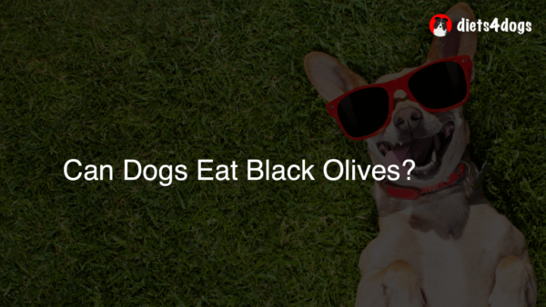 Can Dogs Eat Black Olives?