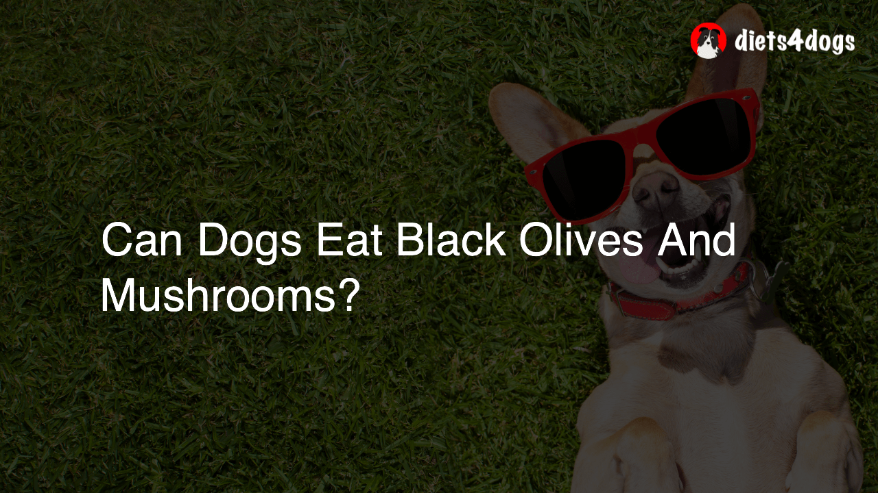 Can Dogs Eat Black Olives And Mushrooms?